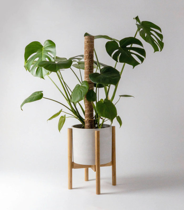 w-plant-care-coir-poles-1-0