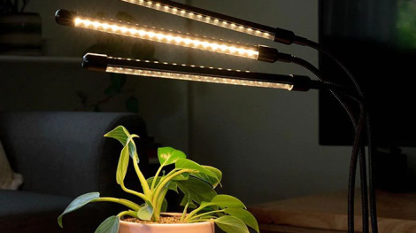w-plant-care-growing-lights-1-0