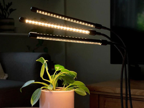 w-plant-care-growing-lights-1-0