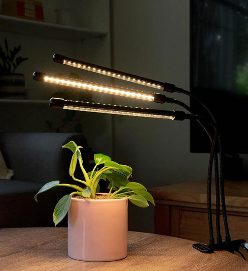 w-plant-care-growing-lights-1-0